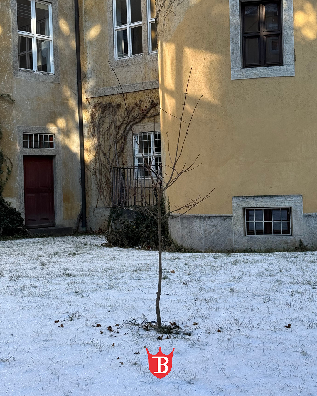 🌱 Klein begonnen, stark geworden